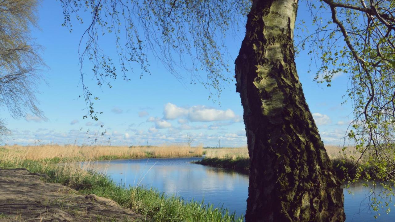 Domki Nad Stara Rega Mrzeżyno Eksteriør bilde